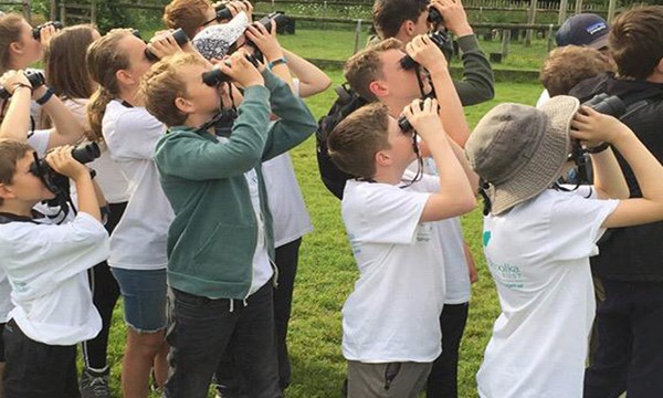 New Forest Wildlife Camp