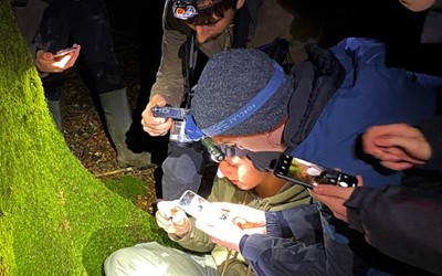 Setting camera traps