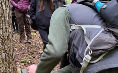 Setting camera traps