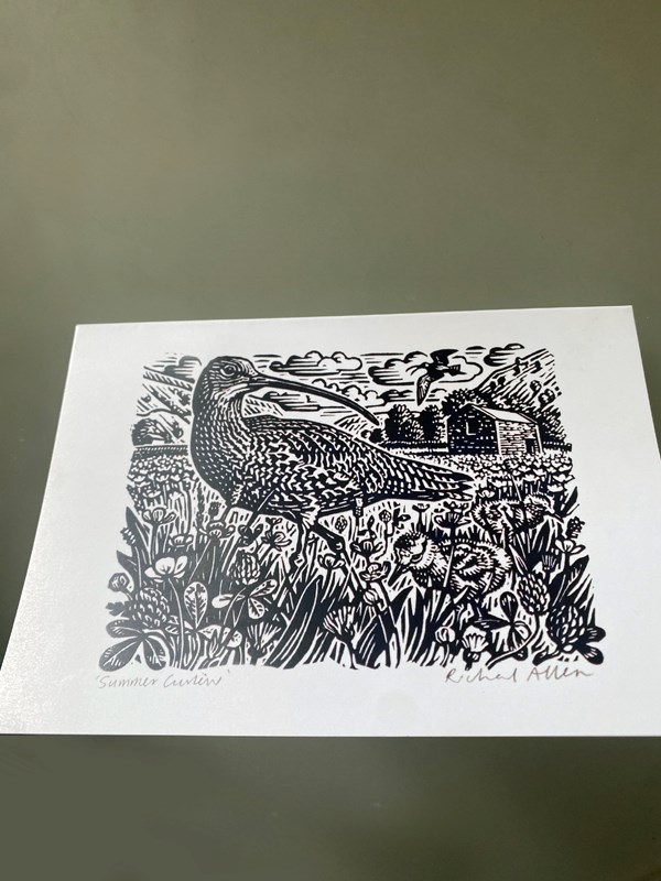 Curlew Cards by Richard Allen