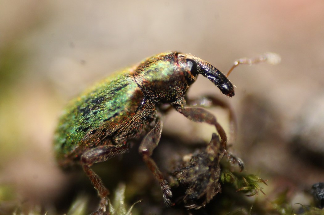 Up Close and Personal: Georgie Wightman-Smith  - aged 13 