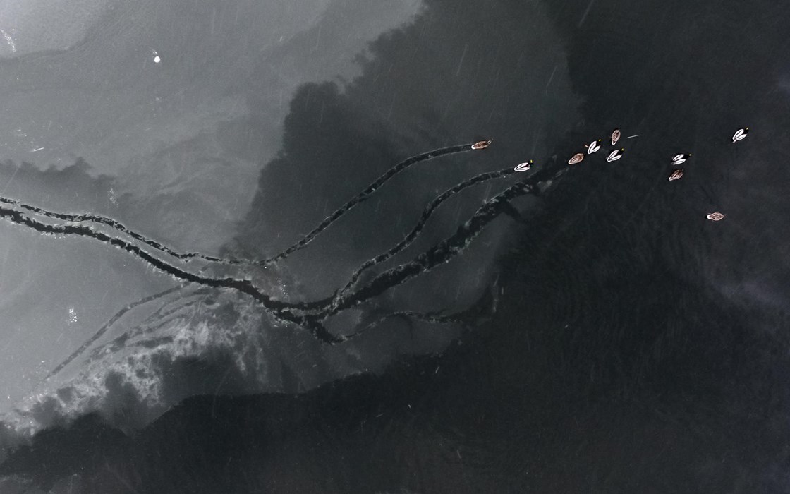 Ice breakers - Photo:Tamás Koncz-Bisztricz