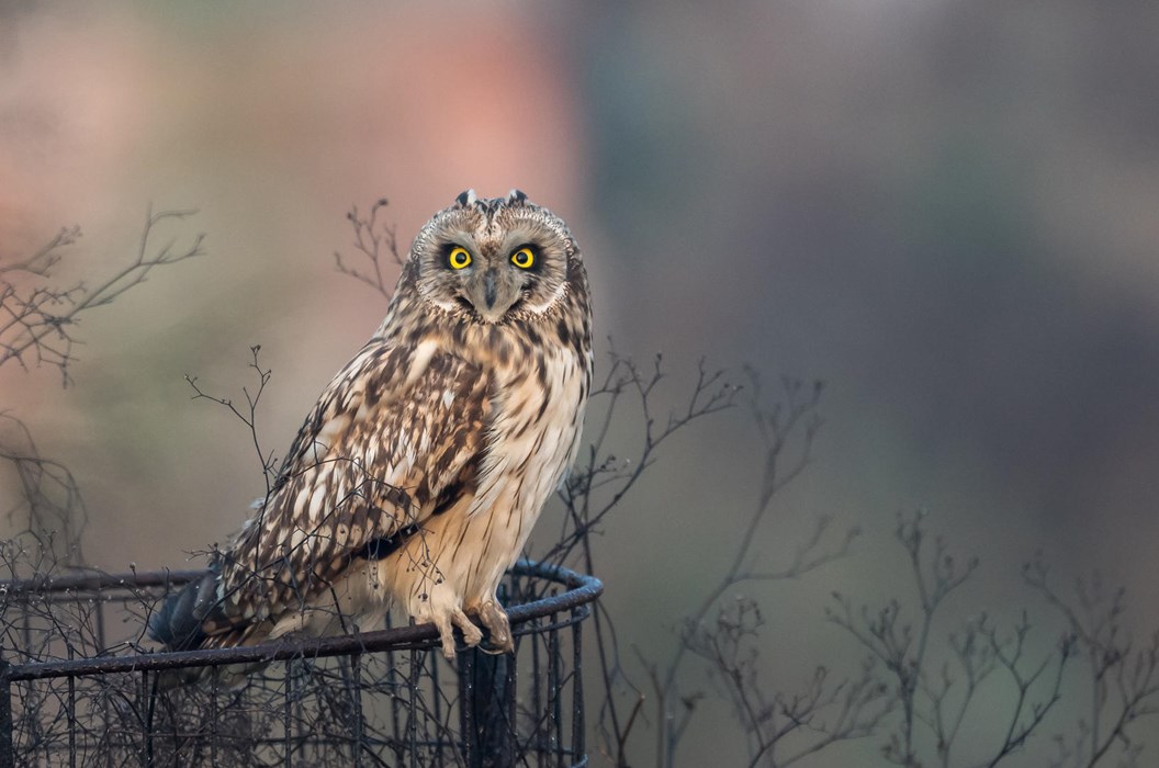 I C U Boy!- Photo: Arshdeep