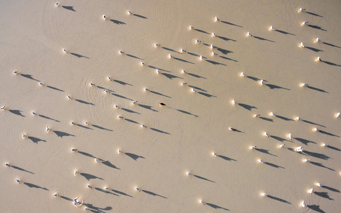 One - Photo: Tamás Koncz-Bisztricz 