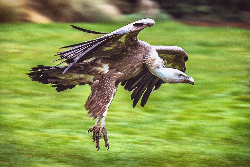 Precision - Precision