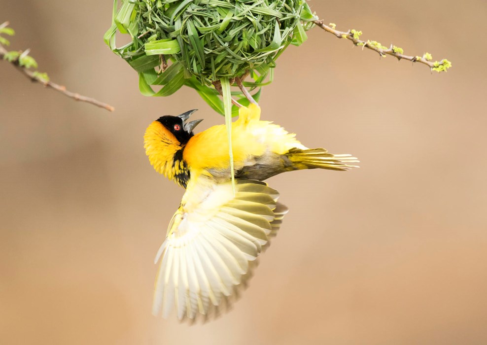 Upside down -David Cisneros Tejera