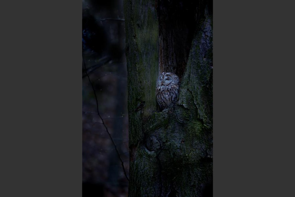 Waking up to the night by Ondrej Pelanek