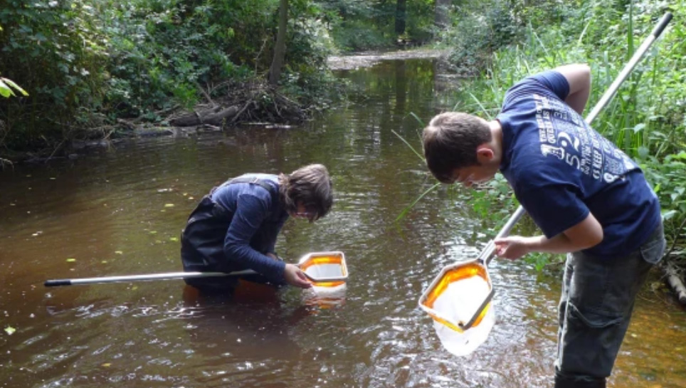 River dipping